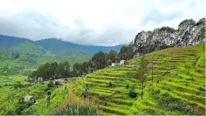 Sonanadi Wildlife Sanctuary